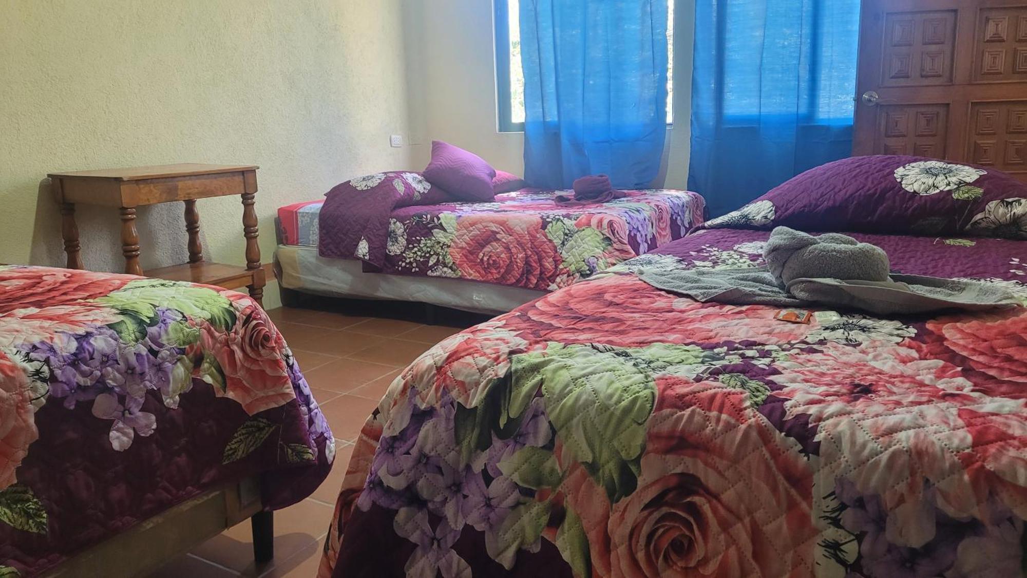 Hostal Sweet Dreams Panajachel Εξωτερικό φωτογραφία